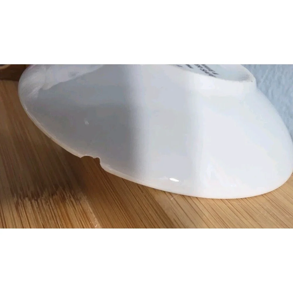 Pottery Barn Natural Curiosities Set of 4 Dipping Bowls Tabletop Nautical Theme